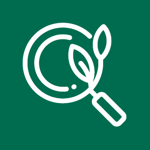 استاندارد 14001